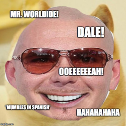 trampoline around pitbull for a dolla