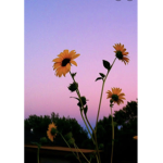 God is good.