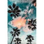 ~palm trees~