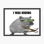 Robux Man