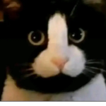 Hjgfyu