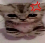 ㄚA爪Aㄒㄖ