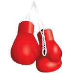 Boxing Edge Gear fo princes