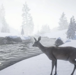 snowsfawn