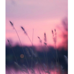 Artezanty