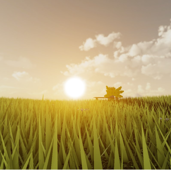 Field
