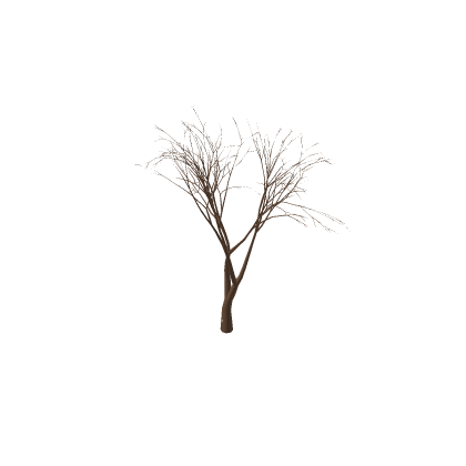 Realistic Halloween Tree [FREE]