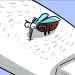 Mosquitoes VS Humans icon