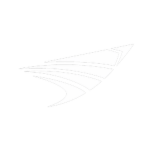 BritFen Airways