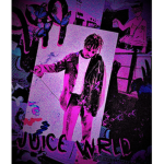 StrucidPlayers