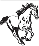 Official horse fan club!