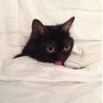 wørld of luvv
