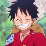 natsu x luffy