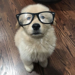 /imyihy
