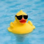 #Ducky Clan