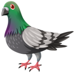 Pigeon Powa
