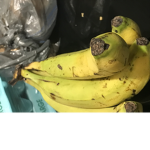 I liKe BaNnAs