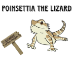 Poinsettia The Lizard’s Friends!