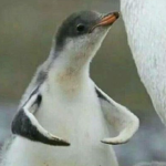 The Omega Penguin Force