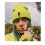 Billie eillish fan group and Ava’s besties