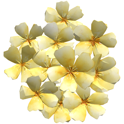 顔の花 yellow sakura flower face cluster