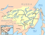 Amur Gang
