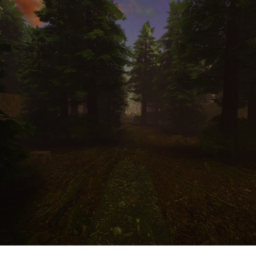 Forest