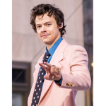 Harry styles fans only