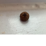 Lima’s Group