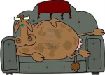 Cow is Potato