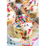 ~ sprinkle squad ~