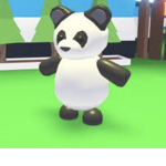 Los pandas Adorables