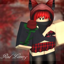 Red Lining Apparel Store