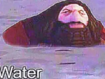 Memes random group