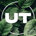 Universal Things Roblox Group