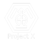 Project X - V.E.I.L