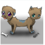 Katdog JR