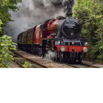 The Steam Train Gang
