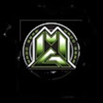 THE MYSTIC FAN GROUP