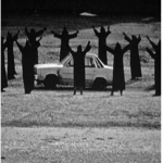MUSTARD CULT.