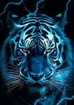 James’s blue tiger