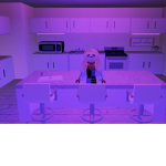 Animal likes you