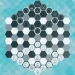 Hex Chess icon