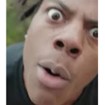 kelvin NPZ