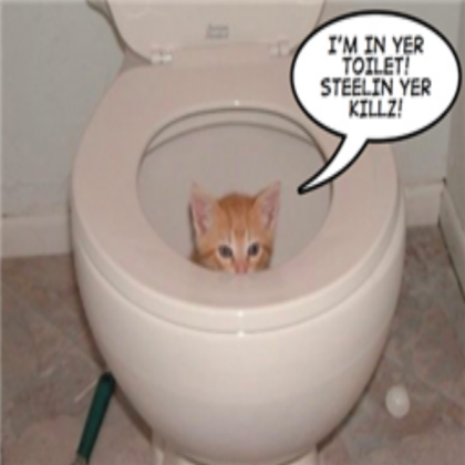 cat having poo Roblox decal
