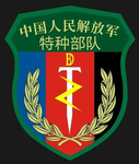 [GZ SOF] GUANGZHOU: Special Operations Force
