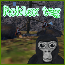Roblox tag