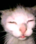 xxyr