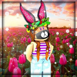 Fãs da yDuda Blox