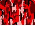 Super Sealth Team